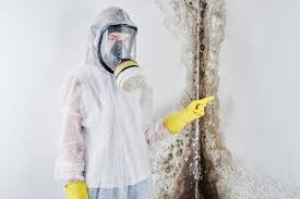 Environmental Consulting for Mold Prevention in Sandy Hook, CT